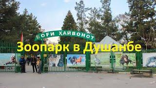 Таджикистан.Зоопарк в Душанбе.Душанбе 2022.Tajikistan.Zoo in Dushanbe.Dushanbe 2022.