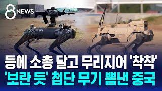 등에 소총 달고 무리지어 '착착'…'보란 듯' 첨단 무기 뽐낸 중국 / SBS 8뉴스