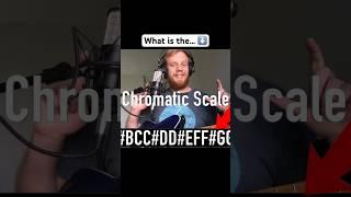 What is the Chromatic Scale?