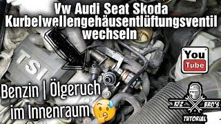 Vw Audi Seat Skoda | 1.2 1.4 TSI | Kurbelwellengehäuseentlüftung | Benzin Ölgeruch | Purge Valve