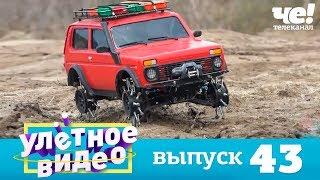 Улетное видео | Выпуск 43