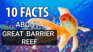 10 FACTS ABOUT THE GREAT BARRIER REEF YOU NEED TO KNOW! [ENG|4K]