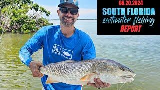 SOUTH FLORIDA SALTWATER FISHING REPORT (08/20/2024)