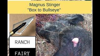 Magnus Buzzcut Review | Ranch Fairy "ReviewHunt"