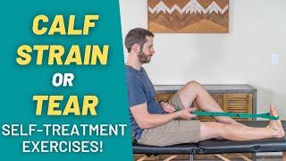 The 7 BEST Calf Muscle Strain Recovery Exercises & Stretches! | PT Time with Tim