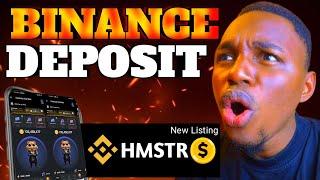 Hamster Kombat: Binance $HMSTR Token is Successfully Deposited! $HMSTR Launchpool Profit