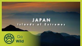 Japan: Islands of Extremes - Wildest Islands - Go Wild