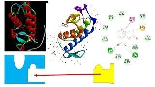 Drug - Target Docking & Results Analysis Using PyRx - Vina, DS & PyMol | P1