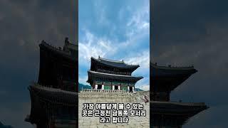 경복궁에서 꼭 봐야하는 다섯가지 #short #베스트 #경복궁