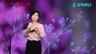 들꽃-조용필   #오카리나  연주