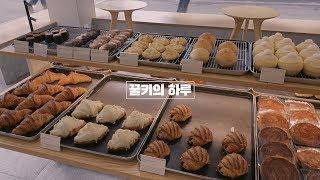 노잼일상이지만 땡콩쓰가 귀여워서 올리는 영상 | 꿀키의 하루