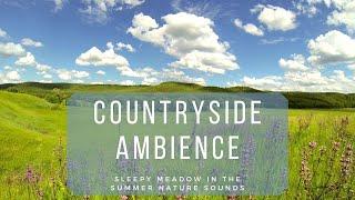  Countryside Ambience - Sleepy Meadow Nature Sounds for Sleeping and Reducing Stress