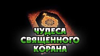 Чудеса Священного Корана