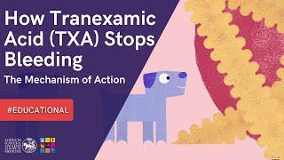 INFORMATIVE || How Tranexamic Acid (#TXA) Stops Bleeding: The Mechanism of Action