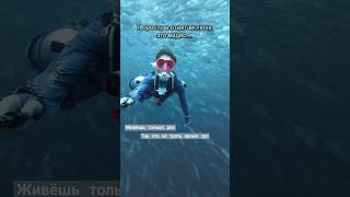 Не жалею ли  я о том, что стала дайвинг инструктором #дайвинг #таиланд #scubadiving