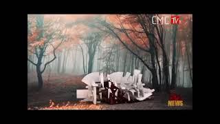 CMC TV Forest Transform Ident 2013 (News)