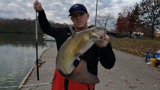 Guide to Catching Channel Catfish: Tips & Tricks for Beginners!  Information in the description.