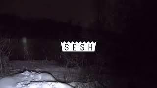 Bones/TeamSesh ForestMix