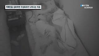 카페인을 섭취하면 각성효과가 나타나는 이유 / YTN 사이언스