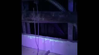 High Tech Rodent Control Tracking Black Light Inspection in West Covina, California