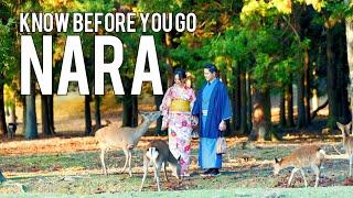 NARA - JAPAN | Things To Know Before You Go | Vacation Travel Guide