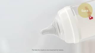 Pigeon Wide-Neck Bottle