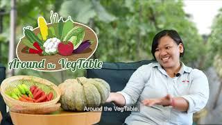 Teaser - Around the VegTable