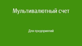 Мультивалютный счет | Для предприятий