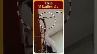 Train ''ਚੋਂ ਨਿਕਲਿਆ ਸੱਪ| Daily Post PHH