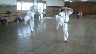 Pinan Sono Yon no Seminário de Karate Shinkyokushin- 07/04/2013