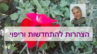 מדיטציית הצהרות להתחדשות וריפוי לקראת האביב