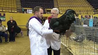 Champion Row With APA Judge Mike Schmidt & ABA Judge Brian Caraker (HD 720p)