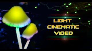 Light Cinematic | Alok Thakur | ATF