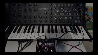 Korg MS20 & Dreadbox Treminator