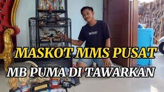 GAK BAHAYA TAH!!  MB PUMA MASKOT MMS PUSAT DI JUAL...