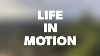 Life in motion Journey through the Ukrainian Carpathians