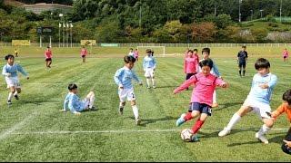 가평군체육회장기 축구대회