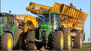 Two phase sugar beet harvest | classic John Deere 4455 + Bleinroth LB 20 loader / Rüben ladebunker