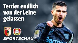 FC Augsburg – Bayer 04 Leverkusen Highlights Bundesliga, 14. Spieltag | Sportschau Fußball