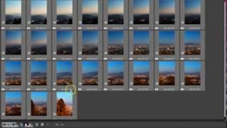 Batch edit files with Canon Digital Photo Professional 4