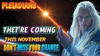 They're Coming This November... But Not for Long! Don't Miss Your Chance