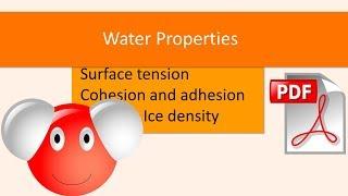 How Water Properties Affect Life