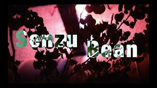 DBZ inspired song | Aizen - Senzu Bean (Official Video)