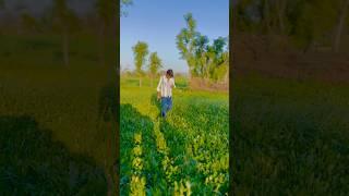 @mukeem.khan.mewati no.8112052494