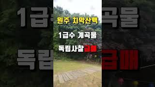 [원주사찰매매]강원도 판부면/치악산국립공원부근 힐링 법당 7.5억 (절 암자)기도터 명상센터부지 기도원 #shorts