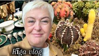 БАРАХОЛКА,КАКТУСЫ,ШОПИНГ И ЖЁСТКАЯ ПРАВДА ПРО МОЮ ДИЕТУ..RIGA VLOG #riga #диета #кактусы #blogger