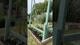 Garden beds 