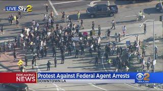 Hundreds Of Demonstrators Gather In Downtown LA In Solidarity With Portland Protesters