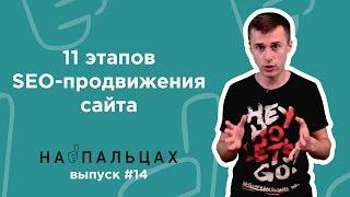 Чем занимаются SEO-шники: 11 этапов продвижения сайта — На Пальцах #14 (Netpeak)