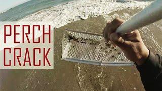 Surf Fishing for Surfperch With Sand Crabs (Perch Crack) at the Beach | ITGETSREEL Episode 196